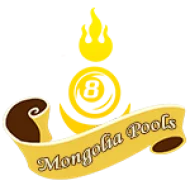 texashoki33.com